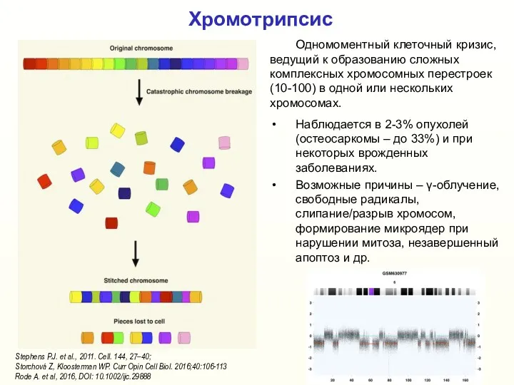 Хромотрипсис Одномоментный клеточный кризис, ведущий к образованию сложных комплексных хромосомных