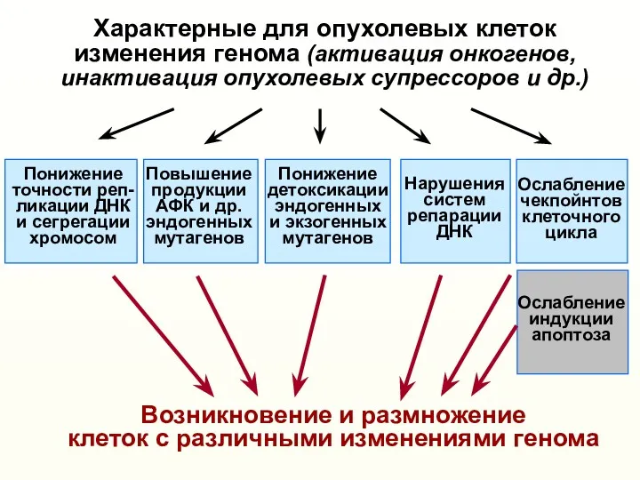 Характерные для опухолевых клеток изменения генома (активация онкогенов, инактивация опухолевых