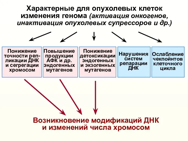 Характерные для опухолевых клеток изменения генома (активация онкогенов, инактивация опухолевых