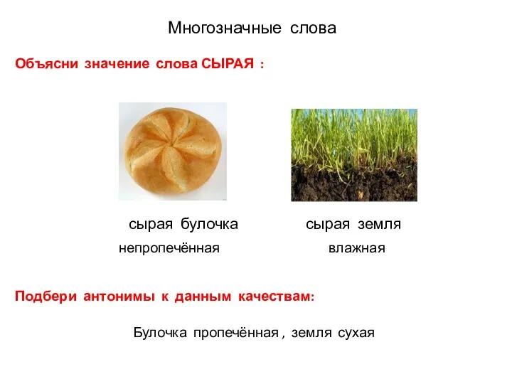 сырая булочка сырая земля непропечённая влажная Многозначные слова Объясни значение