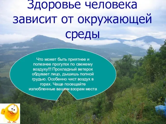 Здоровье человека зависит от окружающей среды Что может быть приятнее