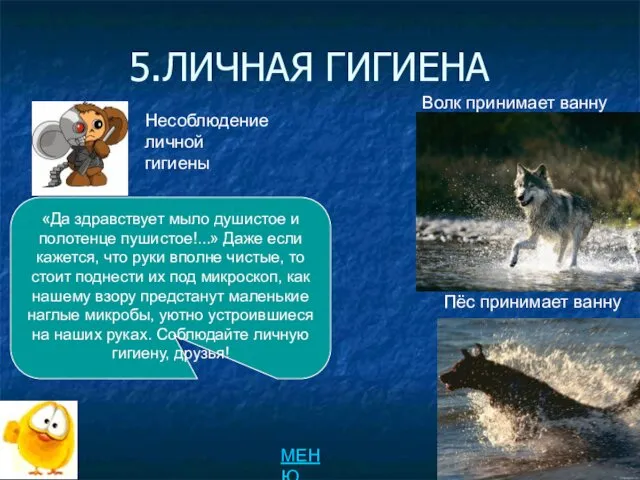 5.ЛИЧНАЯ ГИГИЕНА «Да здравствует мыло душистое и полотенце пушистое!...» Даже