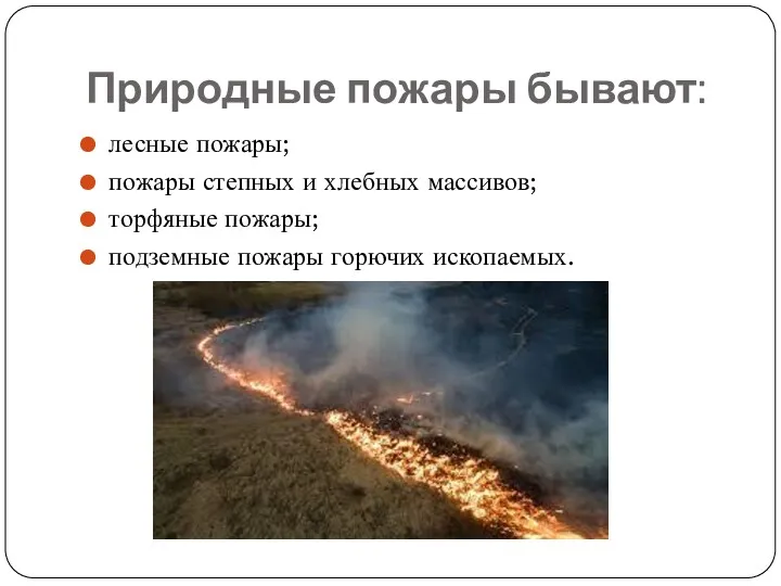 Природные пожары бывают: лесные пожары; пожары степных и хлебных массивов; торфяные пожары; подземные пожары горючих ископаемых.