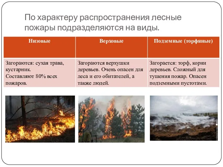 По характеру распространения лесные пожары подразделяются на виды.