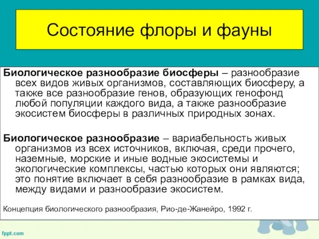 Состояние флоры и фауны Биологическое разнообразие биосферы – разнообразие всех