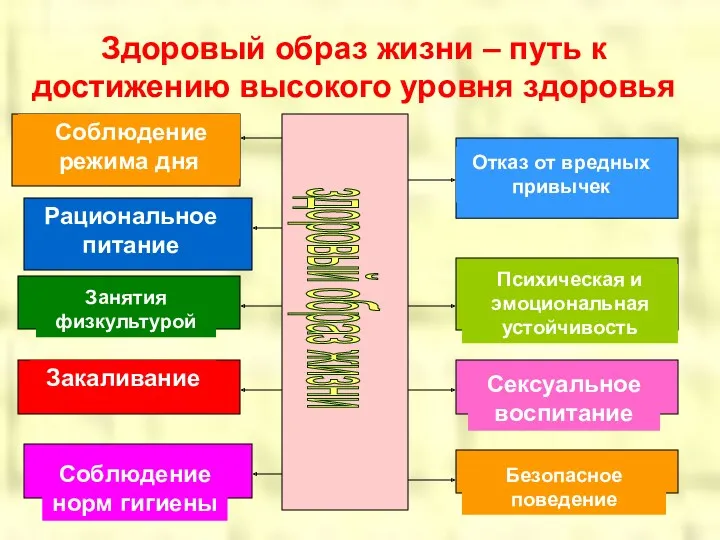 Здоровый образ жизни – путь к достижению высокого уровня здоровья здоровый образ жизни Рациональное питание