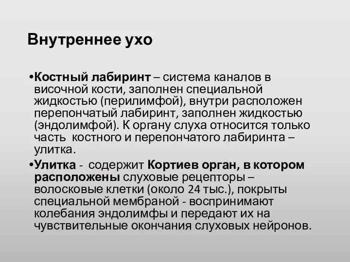 Внутреннее ухо Костный лабиринт – система каналов в височной кости,