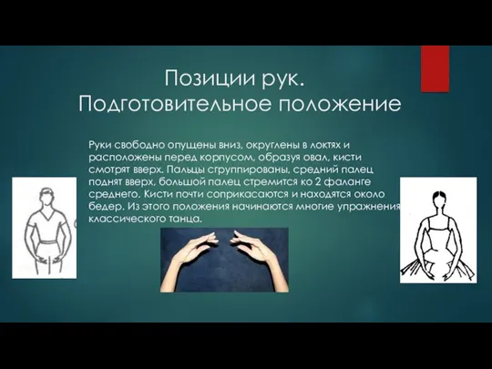 Позиции рук. Подготовительное положение Руки свободно опущены вниз, округлены в