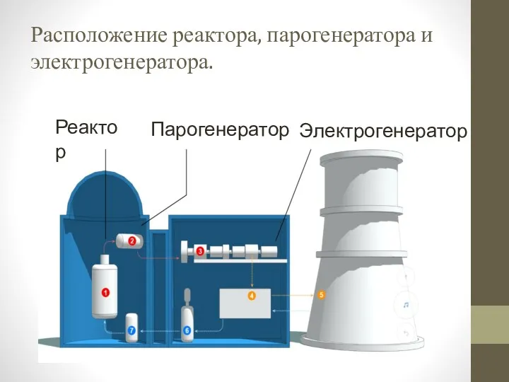 Расположение реактора, парогенератора и электрогенератора. Реактор Парогенератор Электрогенератор