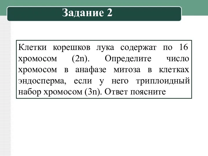 Клетки корешков лука содержат по 16 хромосом (2n). Определите число