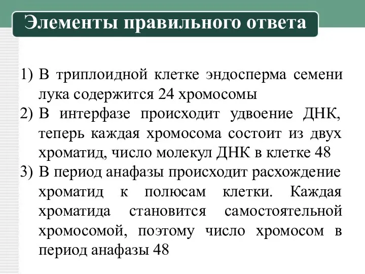 В триплоидной клетке эндосперма семени лука содержится 24 хромосомы В