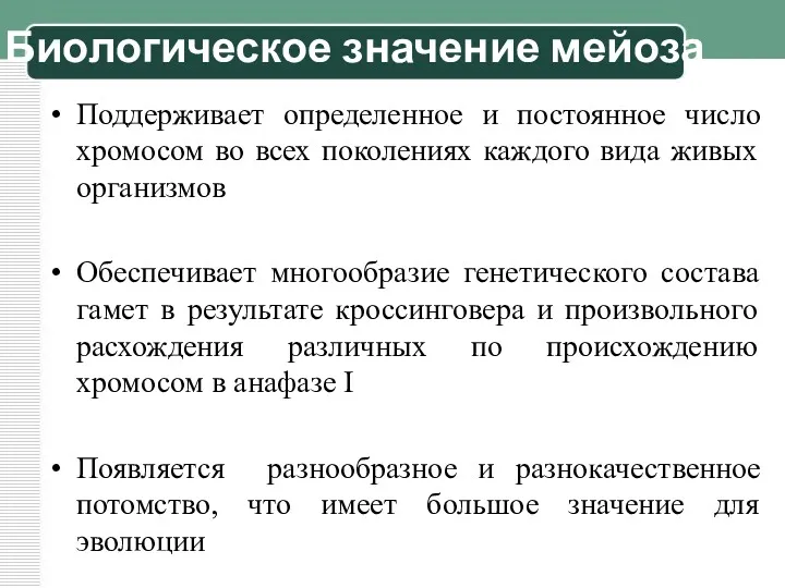 Биологическое значение мейоза Поддерживает определенное и постоянное число хромосом во