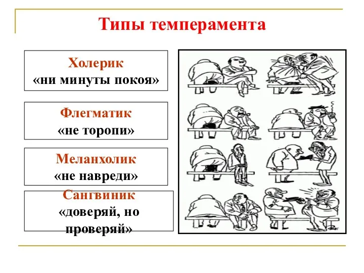 Типы темперамента Сангвиник «доверяй, но проверяй» Холерик «ни минуты покоя» Флегматик «не торопи» Меланхолик «не навреди»