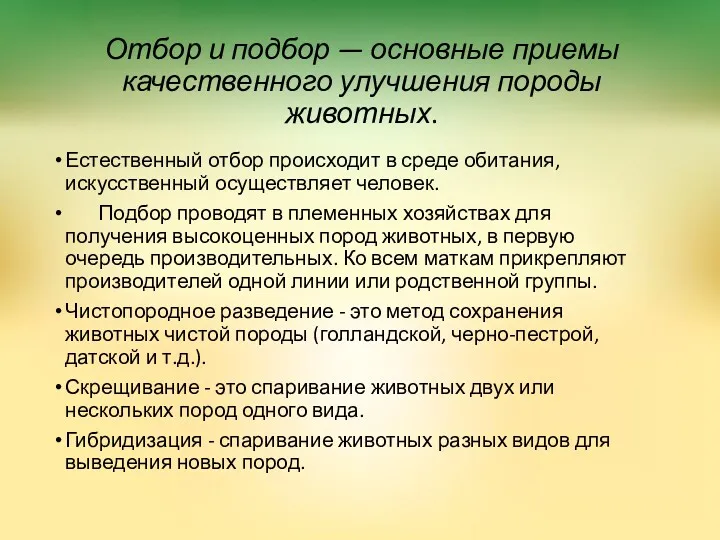 Отбор и подбор — основные приемы качественного улучшения породы животных.