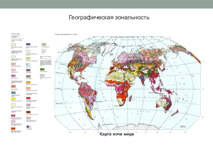 Географическая зональность Карта почв мира