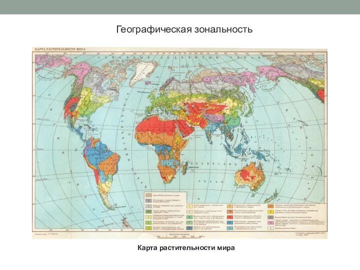 Географическая зональность Карта растительности мира