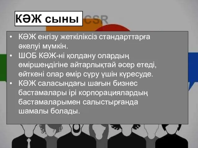 КӘЖ сыны КӘЖ енгізу жеткіліксіз стандарттарға әкелуі мүмкін. ШОБ КӘЖ-ні