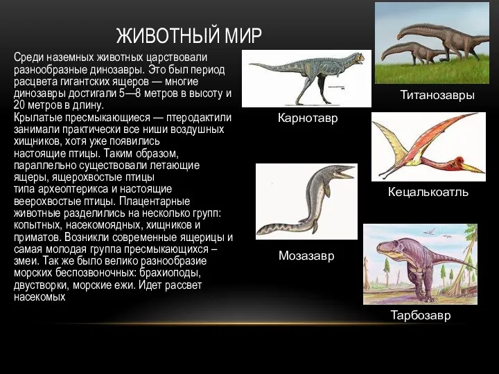 ЖИВОТНЫЙ МИР Среди наземных животных царствовали разнообразные динозавры. Это был