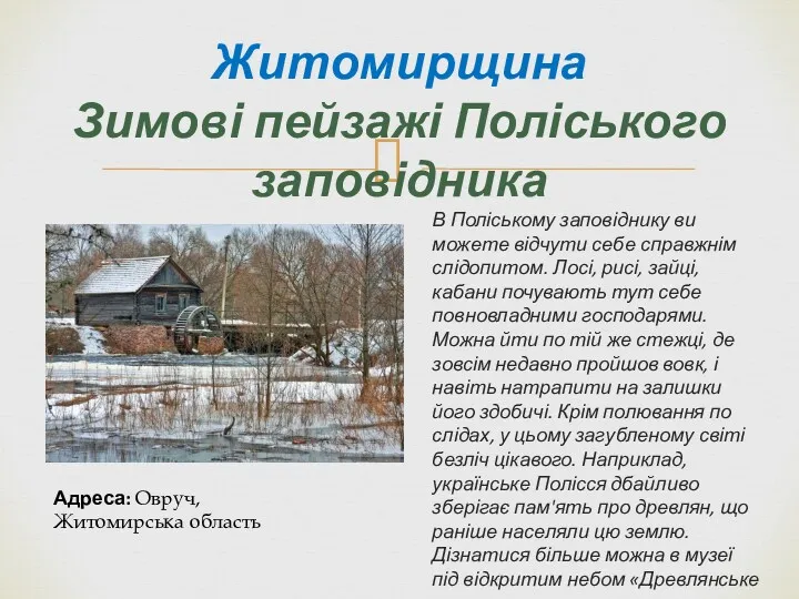 Житомирщина Зимові пейзажі Поліського заповідника В Поліському заповіднику ви можете