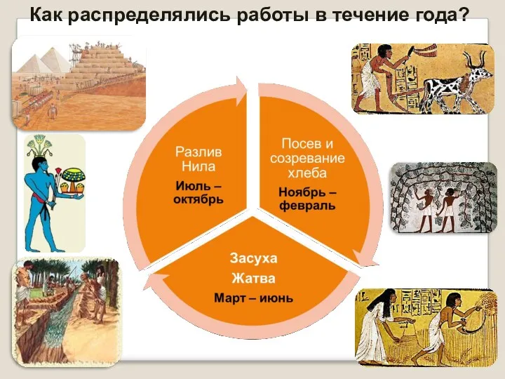 Как распределялись работы в течение года?