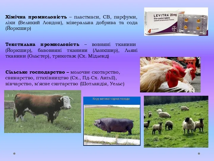 Хімічна промисловість – пластмаси, СВ, парфуми, ліки (Великий Лондон), мінеральна