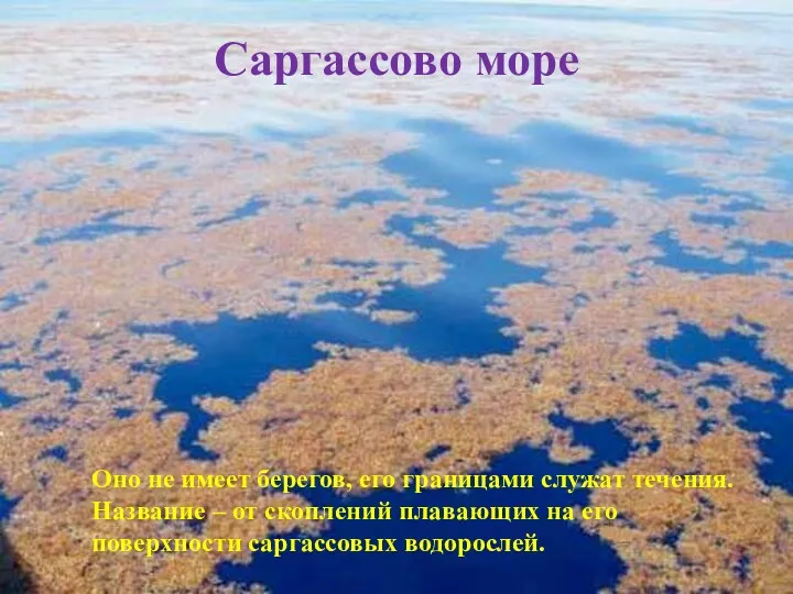 Саргассово море Оно не имеет берегов, его границами служат течения.