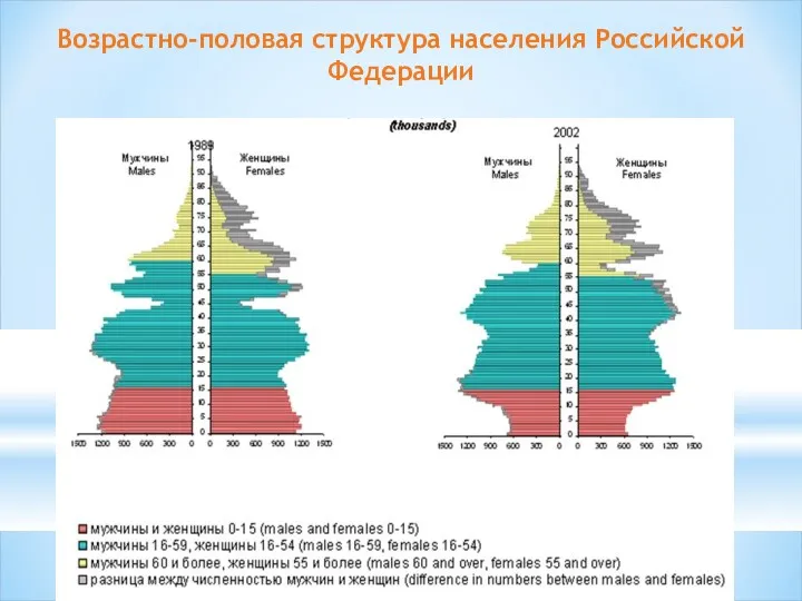 Возрастно-половая структура населения Российской Федерации