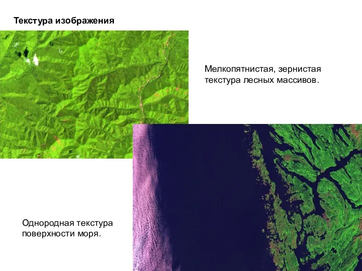 Текстура изображения Мелкопятнистая, зернистая текстура лесных массивов. Однородная текстура поверхности моря.