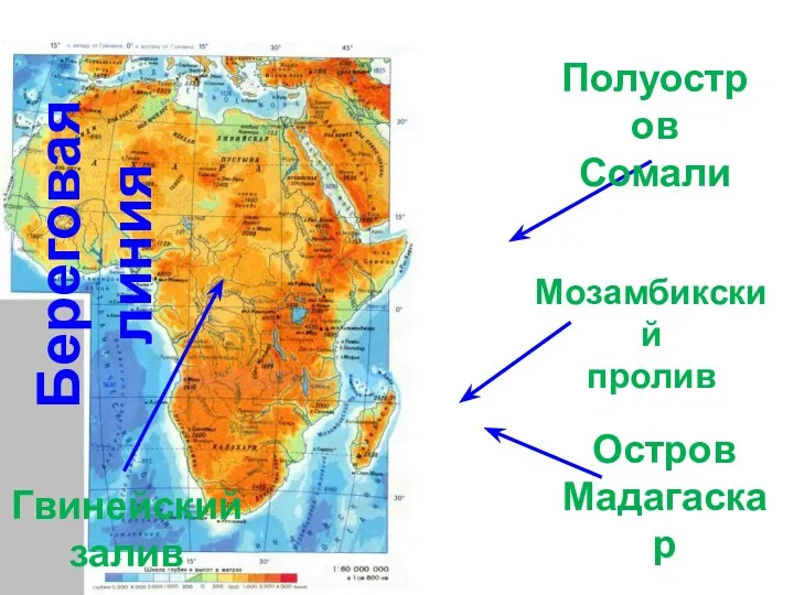 Береговая линия Гвинейский залив Остров Мадагаскар Полуостров Сомали Мозамбикский пролив