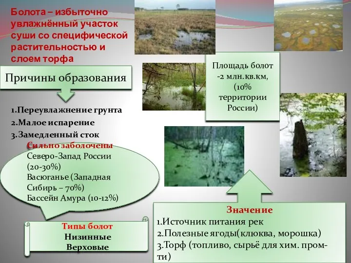 Болота – избыточно увлажнённый участок суши со специфической растительностью и