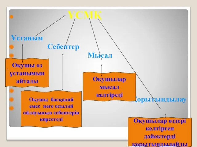 ҰСМҚ Ұстаным Себептер Мысал Қорытындылау Оқушы өз ұстанымын айтады Оқушы