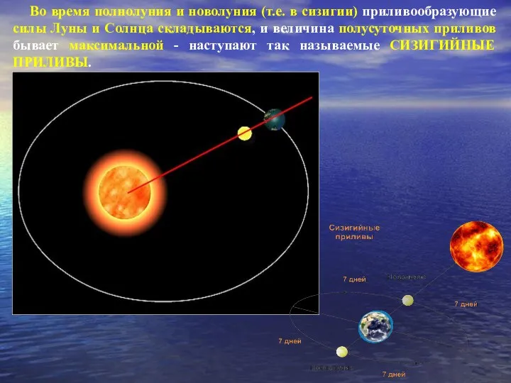 Во время полнолуния и новолуния (т.е. в сизигии) приливообразующие силы Луны и Солнца