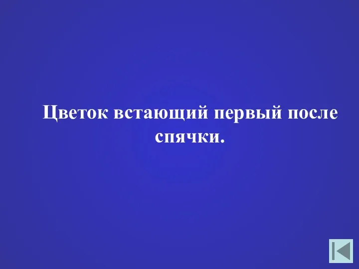 Цветок встающий первый после спячки.