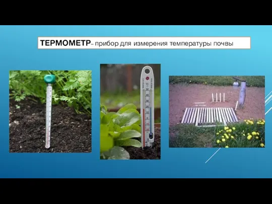 ТЕРМОМЕТР– прибор для измерения температуры почвы
