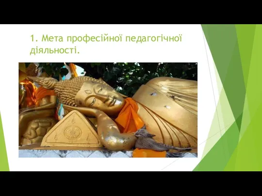 1. Мета професійної педагогічної діяльності.