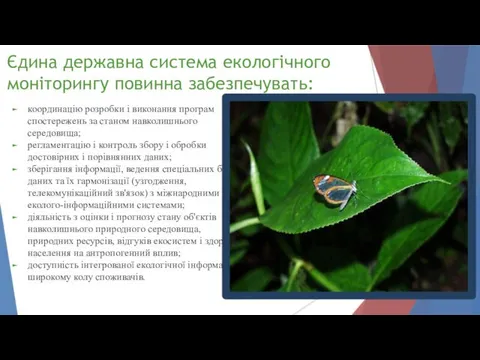 Єдина державна система екологічного моніторингу повинна забезпечувать: координацію розробки і