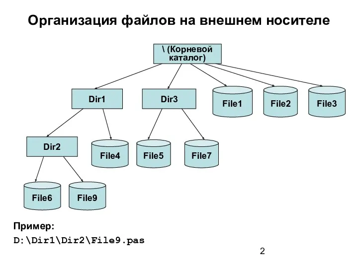 Организация файлов на внешнем носителе Пример: D:\Dir1\Dir2\File9.pas \ (Корневой каталог)