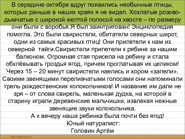 В середине октября вдруг появились необычные птицы, которых раньше в