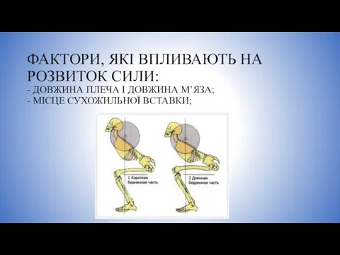 ФАКТОРИ, ЯКІ ВПЛИВАЮТЬ НА РОЗВИТОК СИЛИ: - ДОВЖИНА ПЛЕЧА І ДОВЖИНА М’ЯЗА; - МІСЦЕ СУХОЖИЛЬНОЇ ВСТАВКИ;