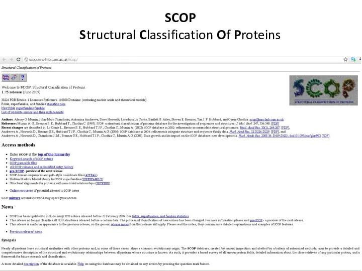 SCOP Structural Classification Of Proteins