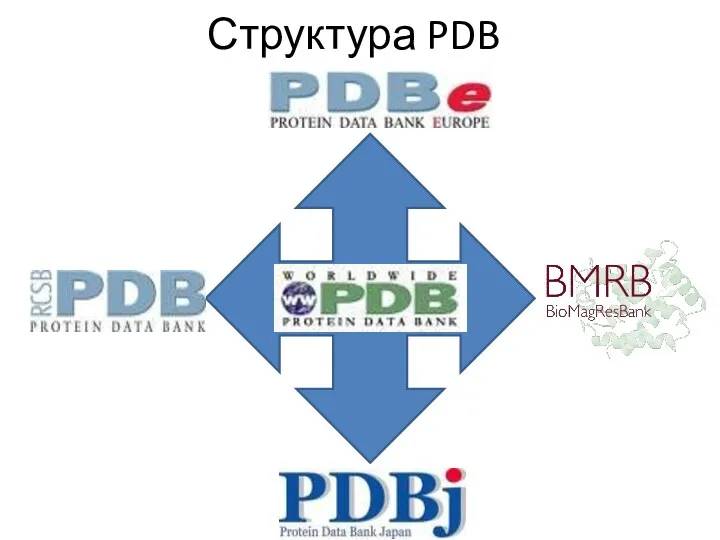 Структура PDB