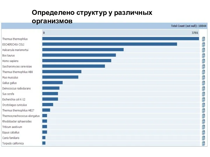 Определено структур у различных организмов