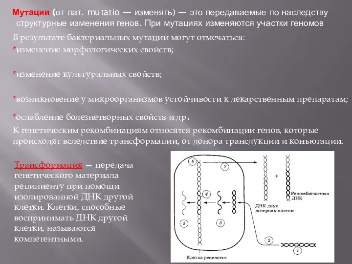 Мутации (от лат. mutatio — изменять) — это передаваемые по