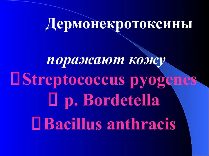 Дермонекротоксины поражают кожу Streptococcus pyogenes p. Bordetella Bacillus anthracis