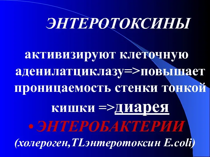 ЭНТЕРОТОКСИНЫ активизируют клеточную аденилатциклазу=>повышает проницаемость стенки тонкой кишки =>диарея ЭНТЕРОБАКТЕРИИ (холероген,TLэнтеротоксин E.coli)