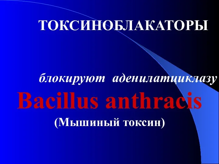 ТОКСИНОБЛАКАТОРЫ блокируют аденилатциклазу Bacillus anthracis (Мышиный токсин)