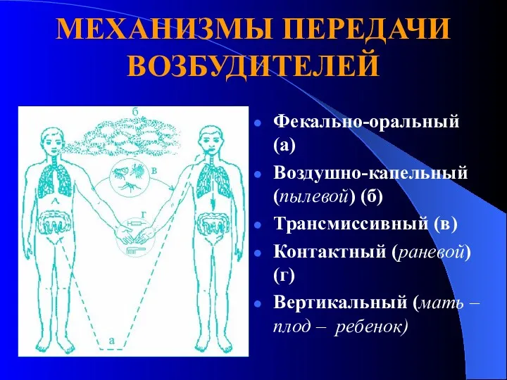 МЕХАНИЗМЫ ПЕРЕДАЧИ ВОЗБУДИТЕЛЕЙ Фекально-оральный (а) Воздушно-капельный (пылевой) (б) Трансмиссивный (в)