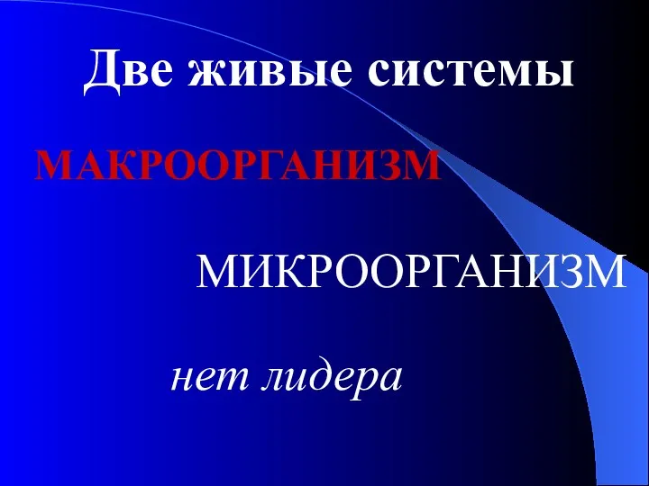 Две живые системы МАКРООРГАНИЗМ МИКРООРГАНИЗМ нет лидера