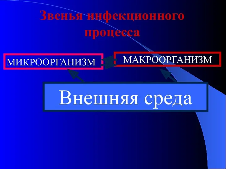 МИКРООРГАНИЗМ Звенья инфекционного процесса МАКРООРГАНИЗМ Внешняя среда