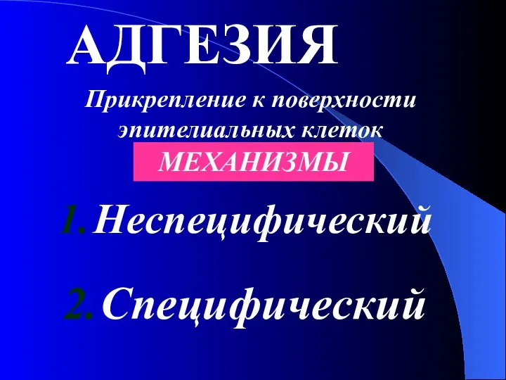 Прикрепление к поверхности эпителиальных клеток МЕХАНИЗМЫ Неспецифический Специфический АДГЕЗИЯ